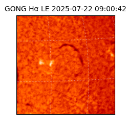 gong - 2025-07-22T09:00:42