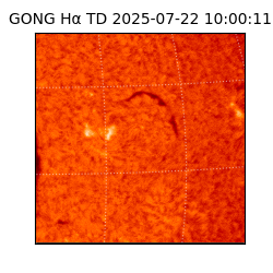 gong - 2025-07-22T10:00:11