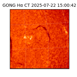 gong - 2025-07-22T15:00:42