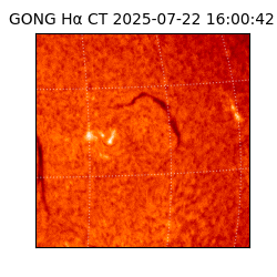 gong - 2025-07-22T16:00:42