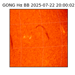 gong - 2025-07-22T20:00:02