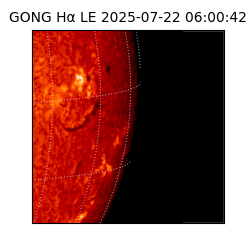 gong - 2025-07-22T06:00:42