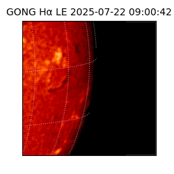 gong - 2025-07-22T09:00:42