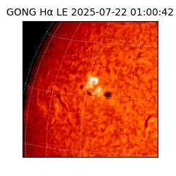 gong - 2025-07-22T01:00:42