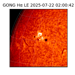 gong - 2025-07-22T02:00:42