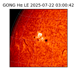 gong - 2025-07-22T03:00:42