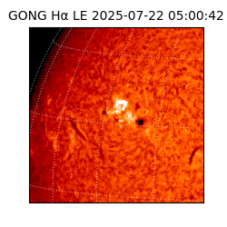 gong - 2025-07-22T05:00:42