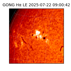 gong - 2025-07-22T09:00:42