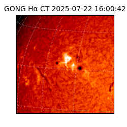 gong - 2025-07-22T16:00:42