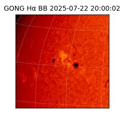 gong - 2025-07-22T20:00:02