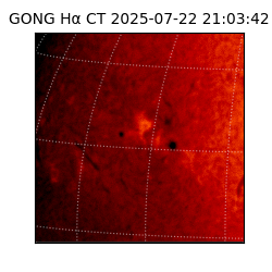 gong - 2025-07-22T21:03:42