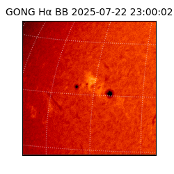 gong - 2025-07-22T23:00:02