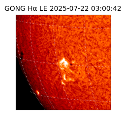 gong - 2025-07-22T03:00:42