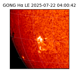 gong - 2025-07-22T04:00:42