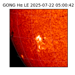 gong - 2025-07-22T05:00:42