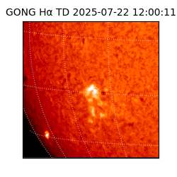 gong - 2025-07-22T12:00:11