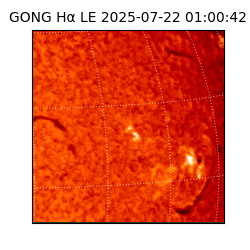 gong - 2025-07-22T01:00:42