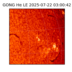 gong - 2025-07-22T03:00:42