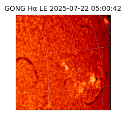gong - 2025-07-22T05:00:42