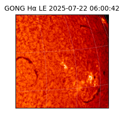 gong - 2025-07-22T06:00:42