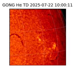 gong - 2025-07-22T10:00:11