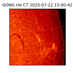 gong - 2025-07-22T15:00:42