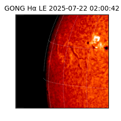 gong - 2025-07-22T02:00:42