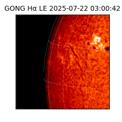 gong - 2025-07-22T03:00:42
