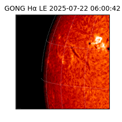gong - 2025-07-22T06:00:42