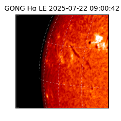 gong - 2025-07-22T09:00:42
