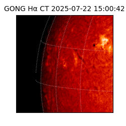 gong - 2025-07-22T15:00:42