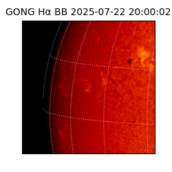 gong - 2025-07-22T20:00:02
