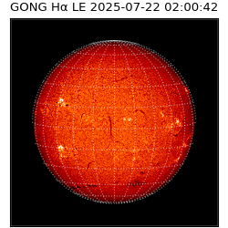 gong - 2025-07-22T02:00:42