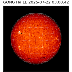 gong - 2025-07-22T03:00:42