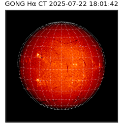 gong - 2025-07-22T18:01:42