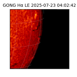 gong - 2025-07-23T04:02:42