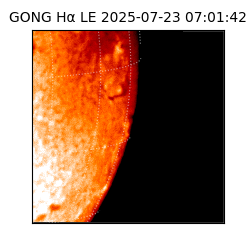 gong - 2025-07-23T07:01:42