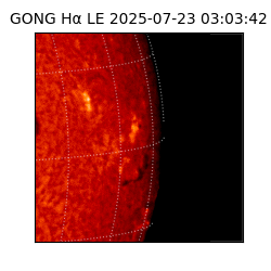 gong - 2025-07-23T03:03:42