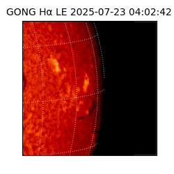 gong - 2025-07-23T04:02:42