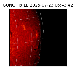 gong - 2025-07-23T06:43:42