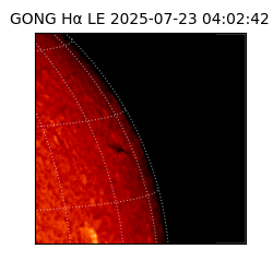 gong - 2025-07-23T04:02:42
