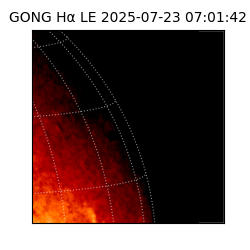 gong - 2025-07-23T07:01:42