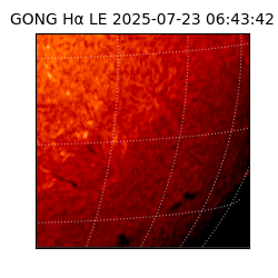 gong - 2025-07-23T06:43:42