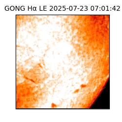 gong - 2025-07-23T07:01:42