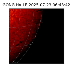 gong - 2025-07-23T06:43:42