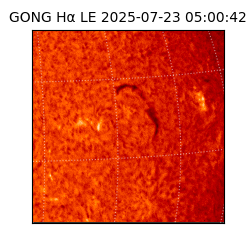 gong - 2025-07-23T05:00:42