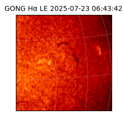 gong - 2025-07-23T06:43:42