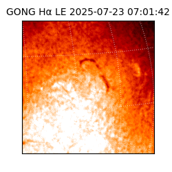 gong - 2025-07-23T07:01:42