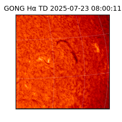 gong - 2025-07-23T08:00:11