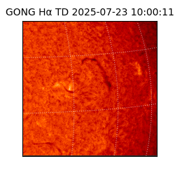 gong - 2025-07-23T10:00:11